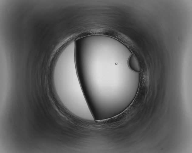 X0000085260732200703090854