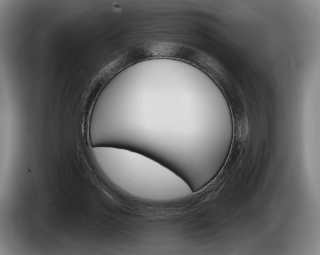 X0000085260733200703090854