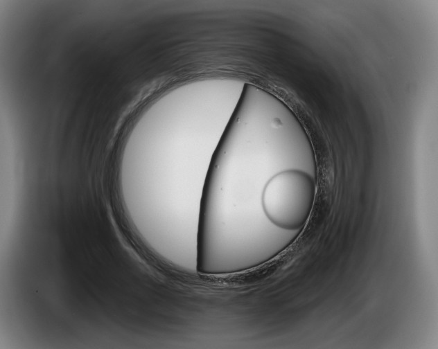 X0000085260734200703090854