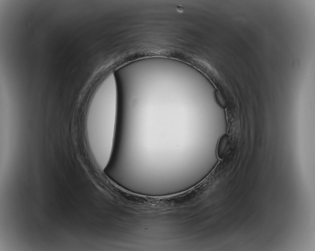 X0000085260736200703090854