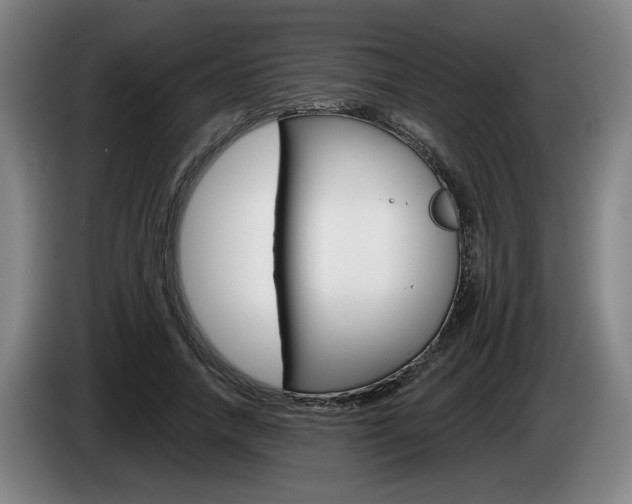 X0000085260738200703090854