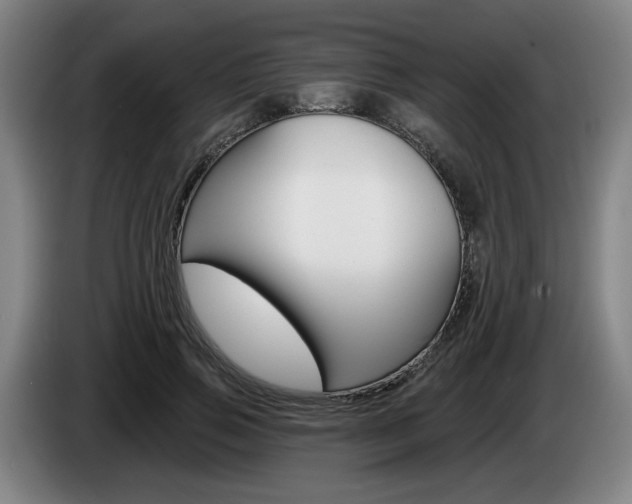 X0000085260741200703090854