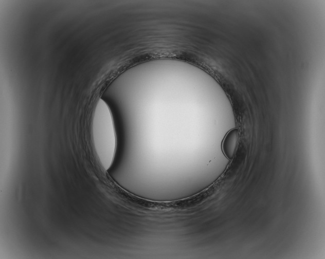 X0000085260742200703090854