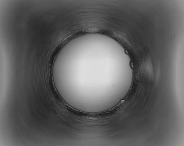 X0000085260743200703090854