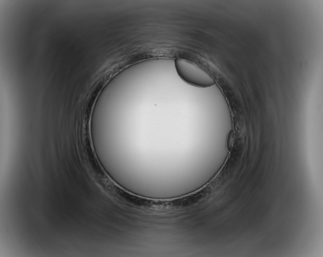 X0000085260744200703090854