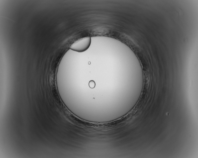 X0000085260745200703090854