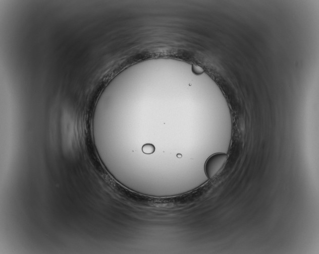 X0000085260746200703090854