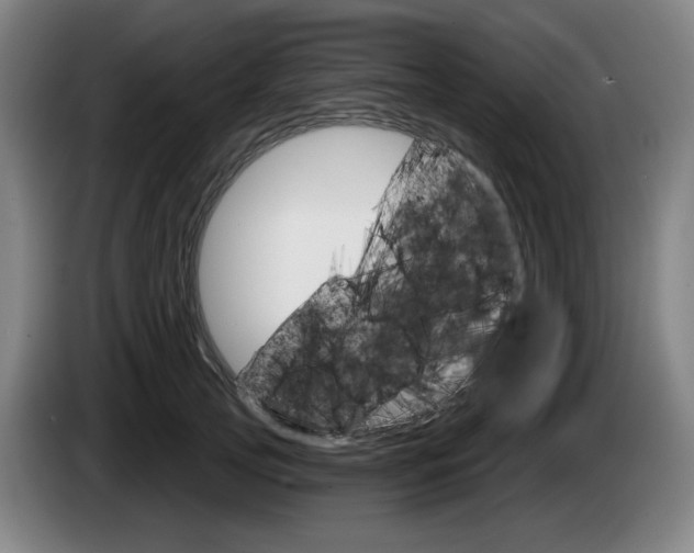 X0000085260753200703090854