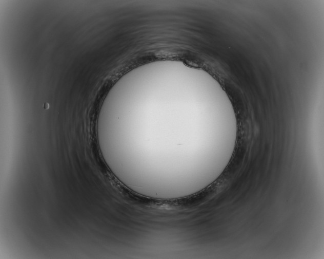 X0000085260755200703090854