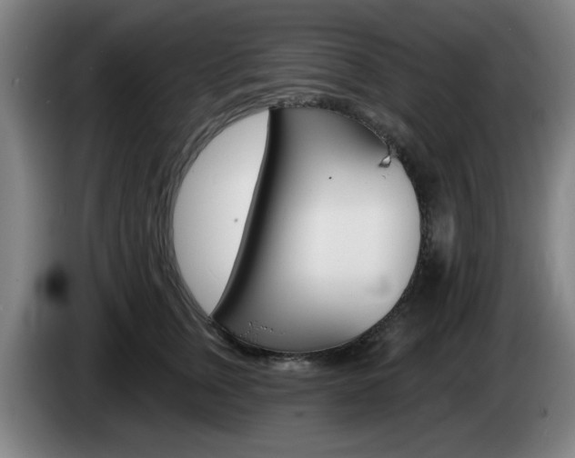 X0000085260759200703090855