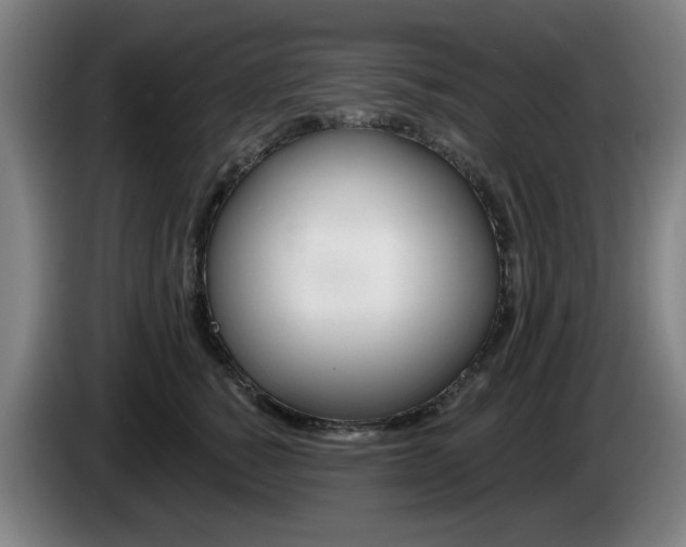 X0000085260760200703090855