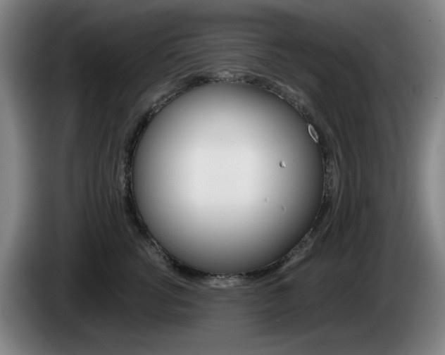 X0000085260762200703090855