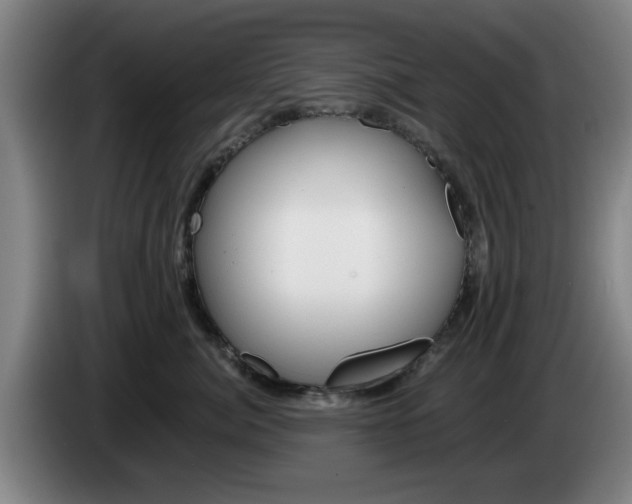 X0000085260764200703090855