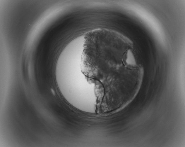 X0000085260765200703090855