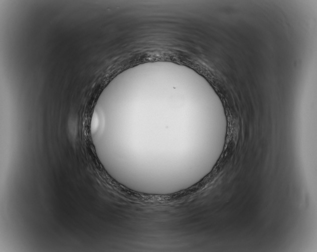 X0000085260770200703090854