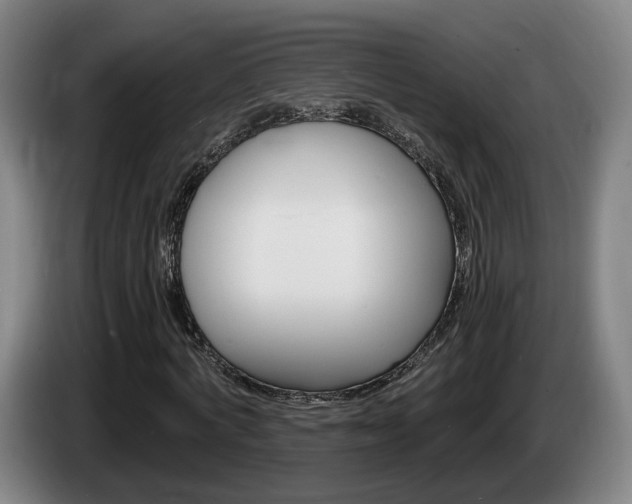 X0000085260772200703090854