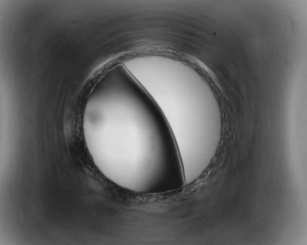 X0000085260775200703090854