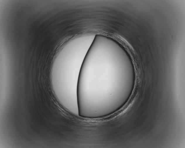 X0000085260777200703090854