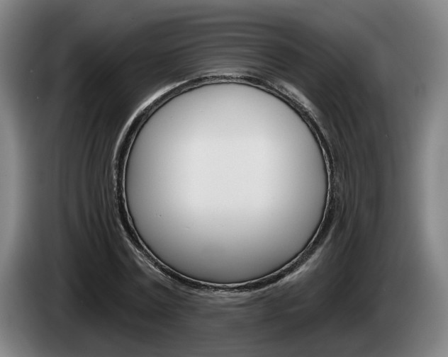 X0000085260779200703090854