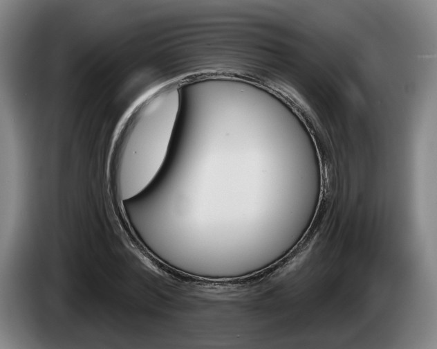 X0000085260780200703090854