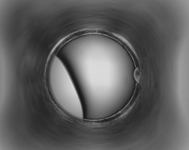 X0000085260783200703090854