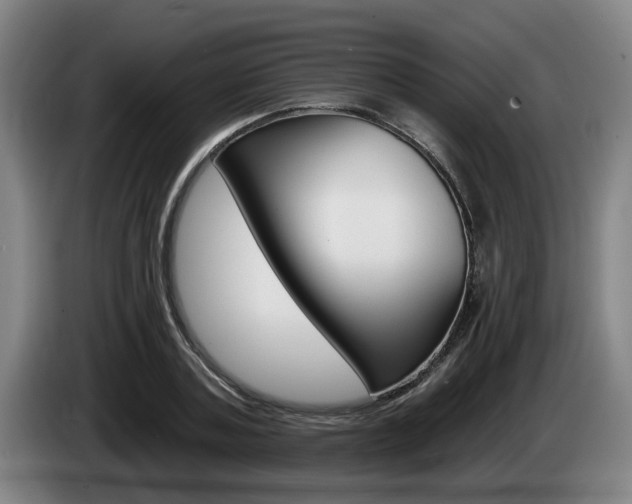 X0000085260787200703090854