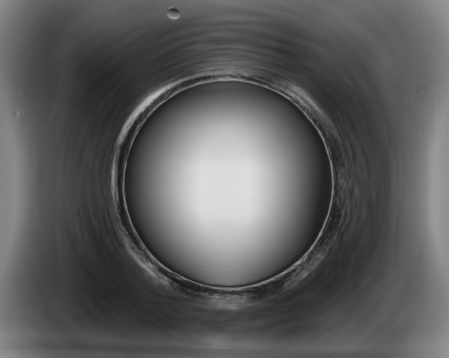 X0000085260788200703090854