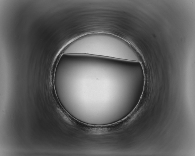 X0000085260789200703090854