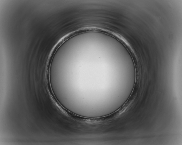 X0000085260799200703090854