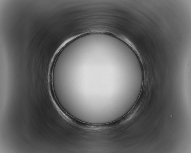 X0000085260803200703090854