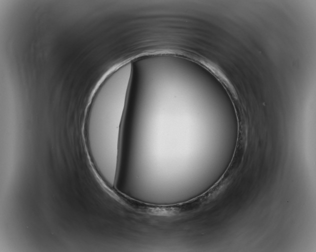 X0000085260805200703090854