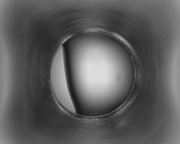 X0000085260809200703090853