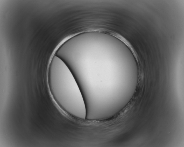 X0000085260811200703090853