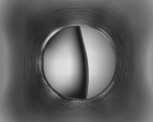 X0000085260812200703090853