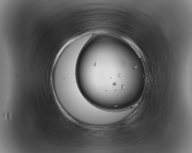 X0000085260813200703090853