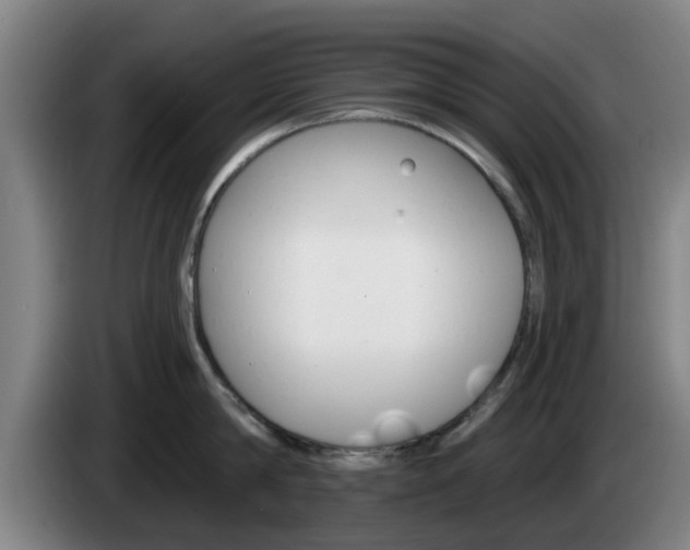 X0000085260814200703090853