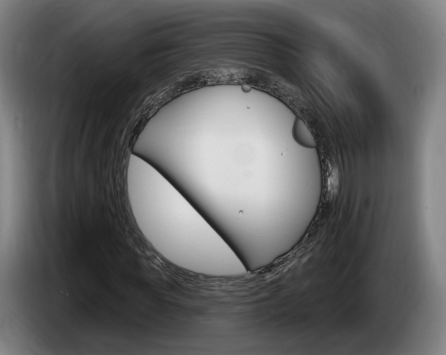 X0000085260819200703090853