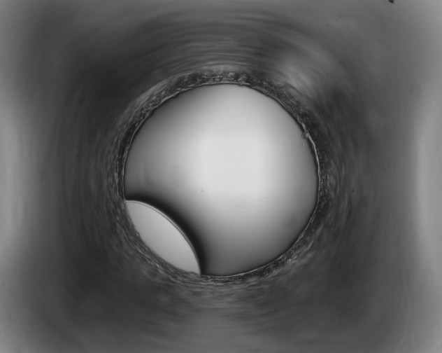 X0000085260821200703090853