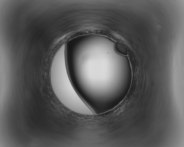 X0000085260822200703090853