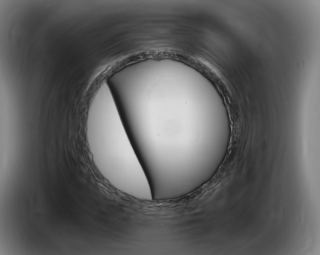 X0000085260823200703090853