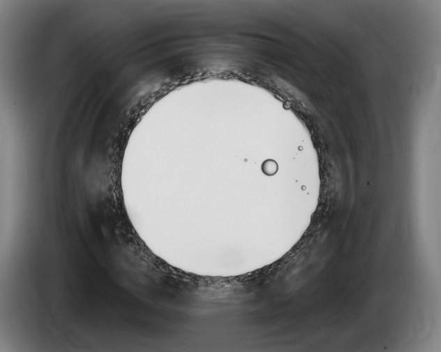 X0000085260824200703090853