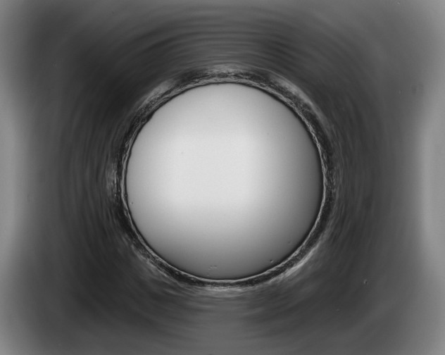 X0000085260825200703090853