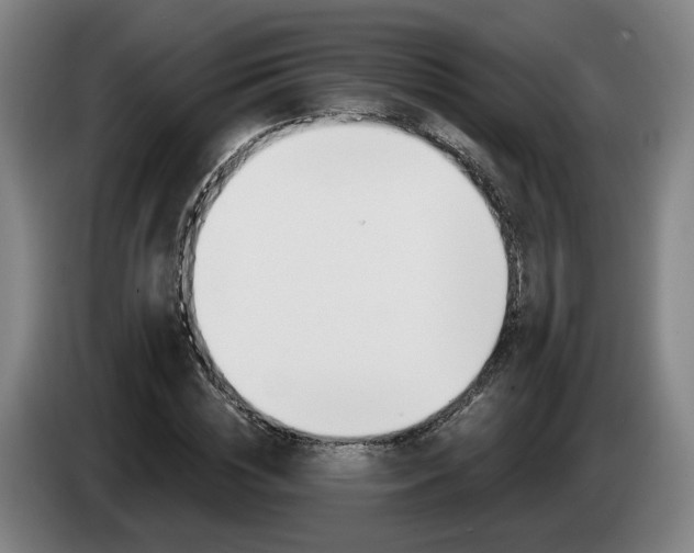 X0000085260828200703090853