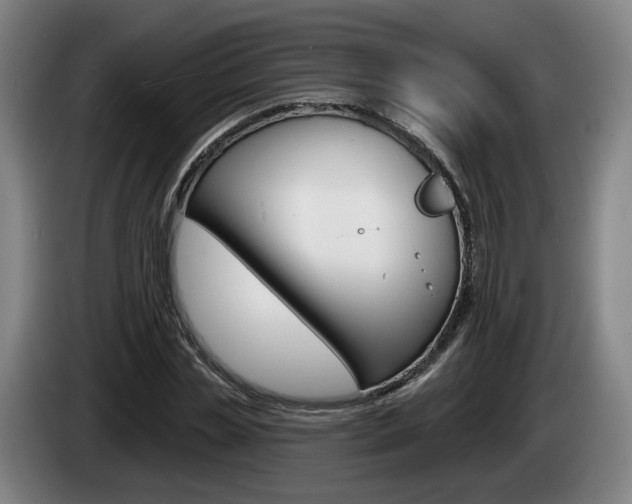 X0000085260829200703090853