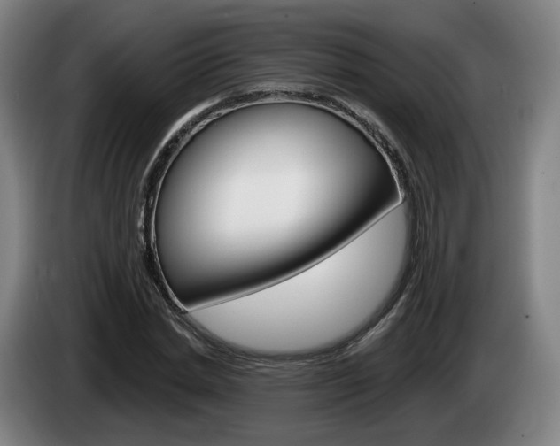 X0000085260830200703090853