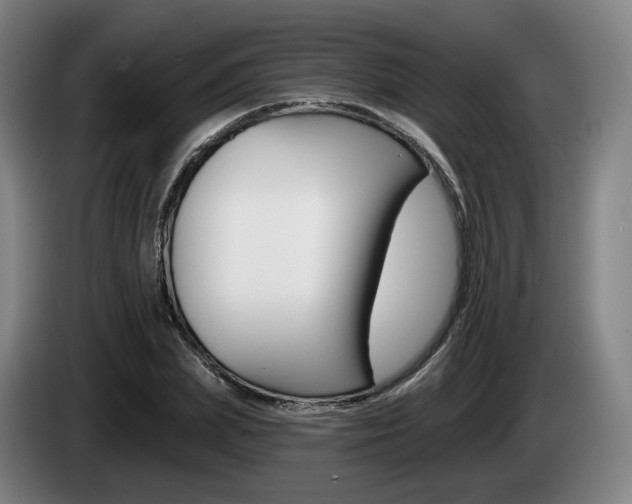 X0000085260831200703090853