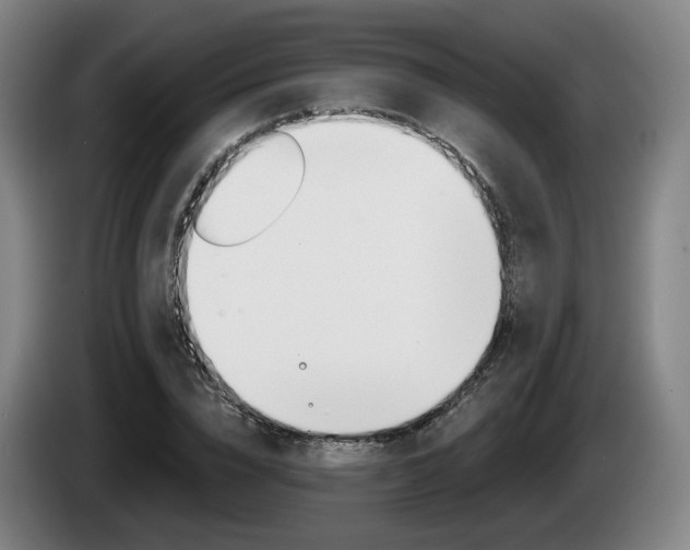 X0000085260832200703090853