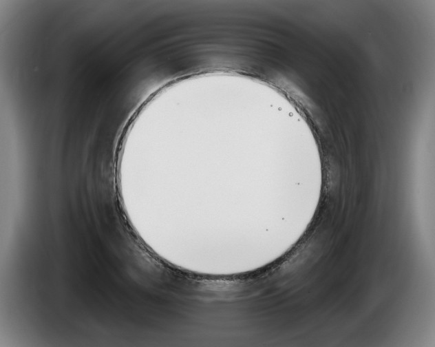 X0000085260836200703090853