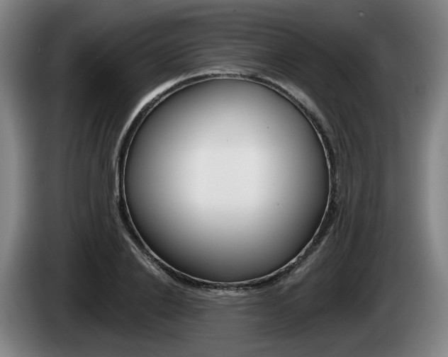 X0000085260838200703090853