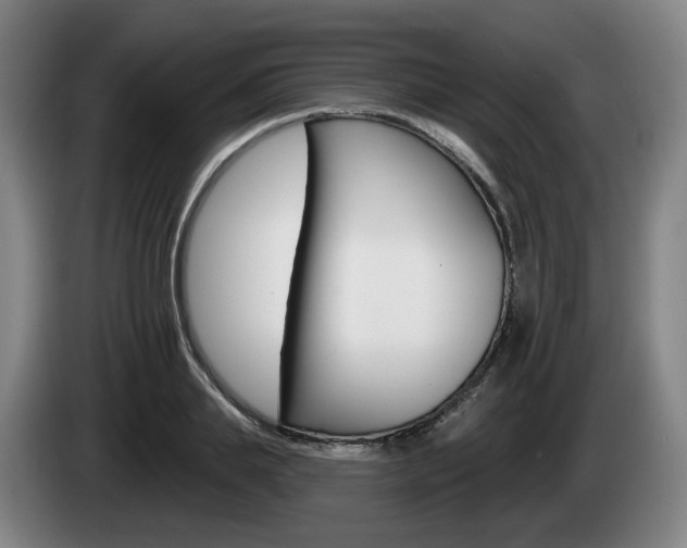 X0000085260839200703090853